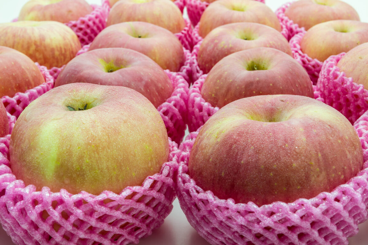 Close-up apple arranged together in a row. Colorful appetizing.