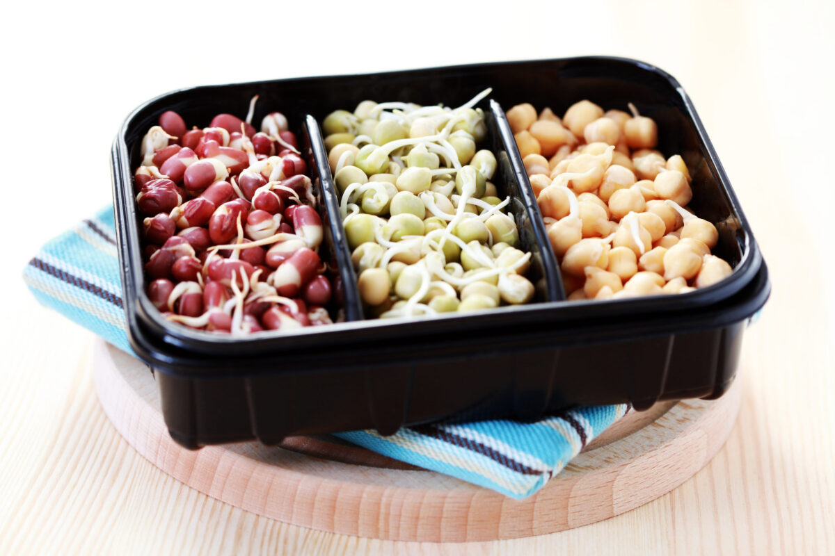 Check your kitchen: These six food recalls shoppers should know about this week. 2 box of different vegetable beans sprouts - food and drink