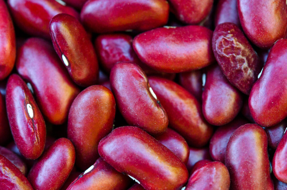 Set of red haricot close up