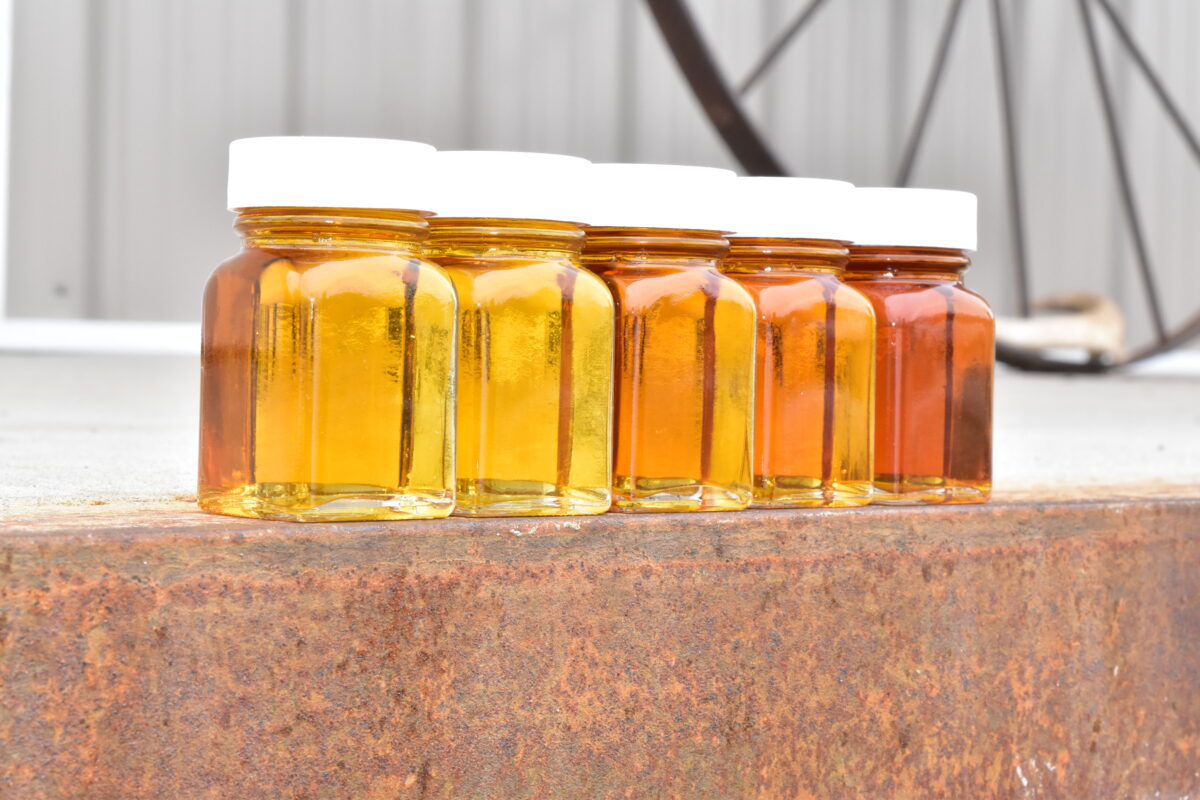 Maple Syrup Grade