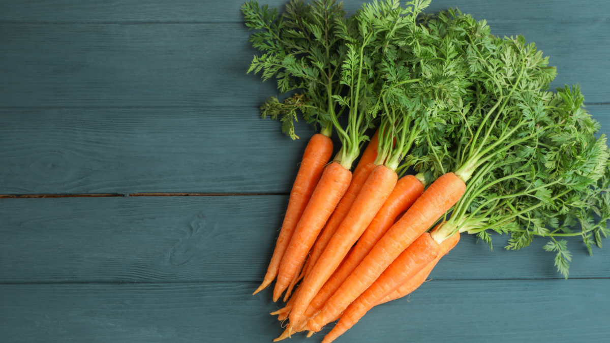 Freshly harvested carrots with vibrant green tops