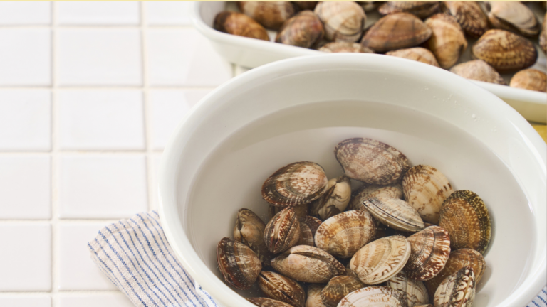 Before You Order Raw Clams, There’s One Food Safety Detail Worth Knowing
