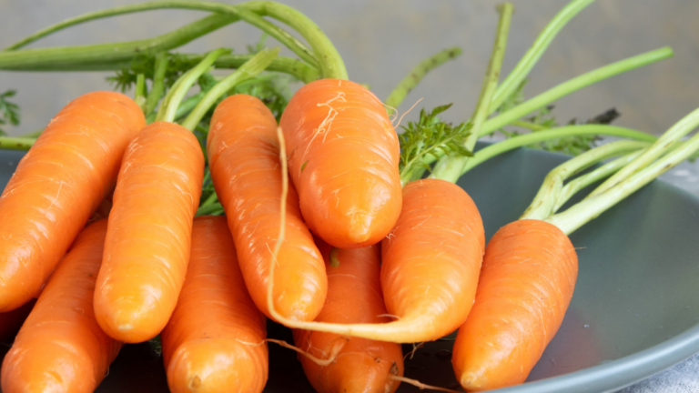 E. Coli Outbreak Linked to Carrots: What New Jersey Shoppers Needed to Know