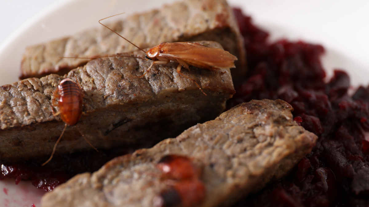 Cockroaches crawling on roasted beef meat on table.
