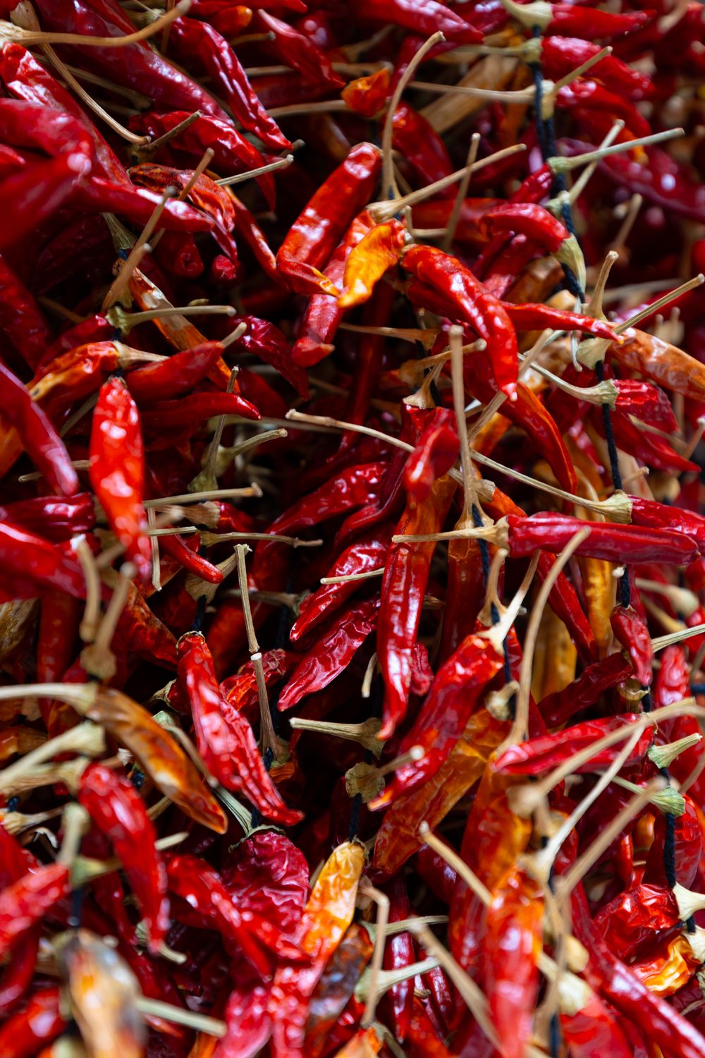 Five Dried Chilis That Will Change the Way You Cook, No Spice Packet Required 1 A close-up view of vibrant red dried chili peppers, showcasing texture and color.