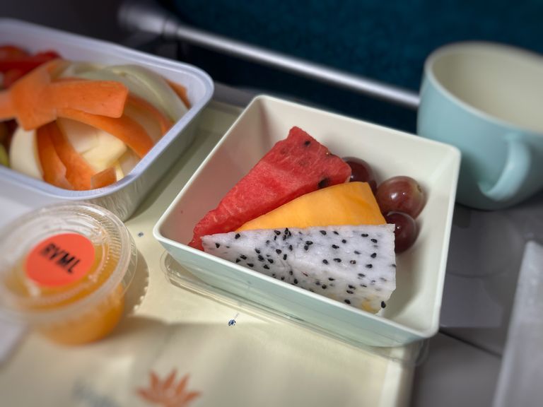 South Korea’s Plan to Provide Airline Meals to Deportees Sparks Debate Among Officials