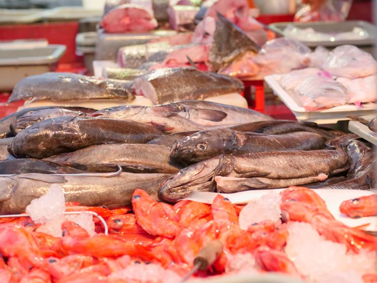 Fresh Finds and Local Flavors Await at San Diego’s Little Italy Mercato Wednesday