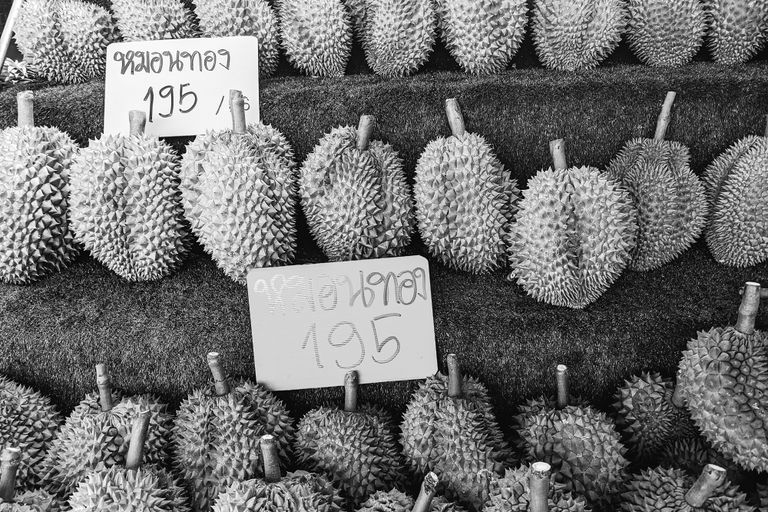 Malaysia’s Durian Ambition: Can It Challenge Thailand’s Dominance in China’s Lucrative Market?