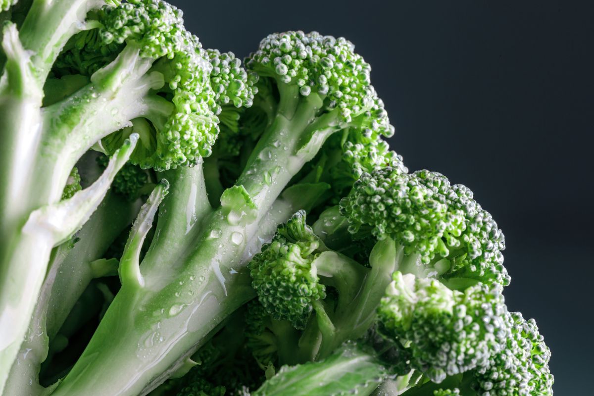 Close-up of fresh broccoli florets with water droplets showcasing texture and freshness.