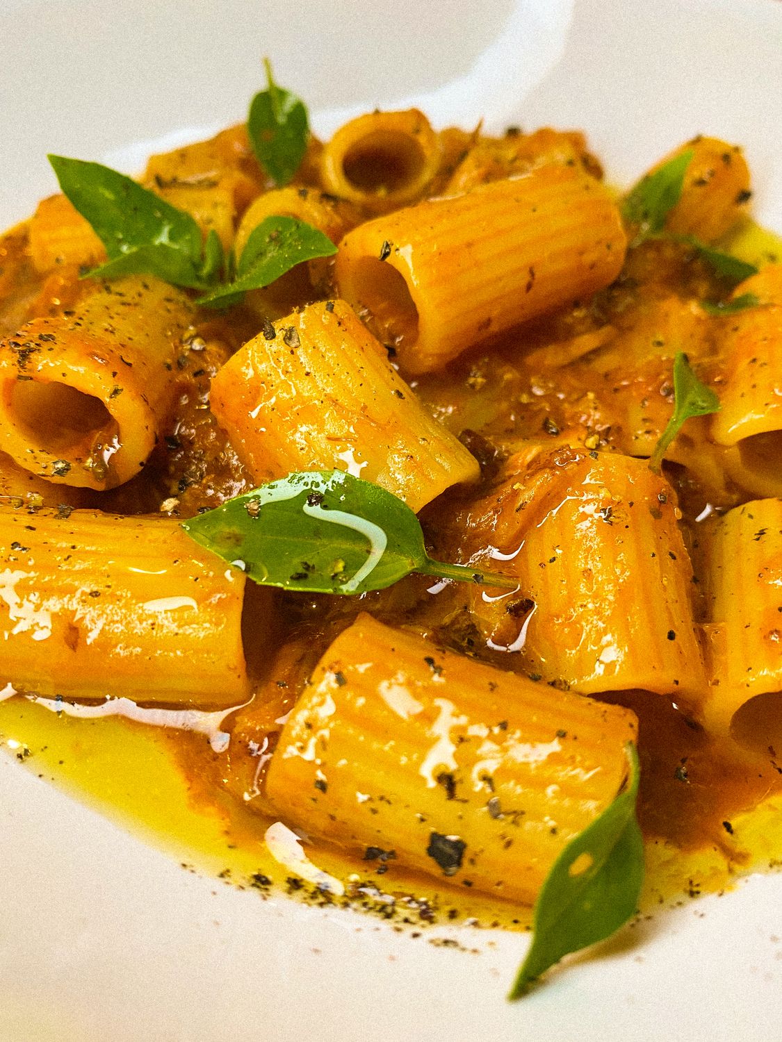 Close-up of rigatoni pasta in tomato sauce garnished with fresh basil leaves. Appetizing and vibrant.