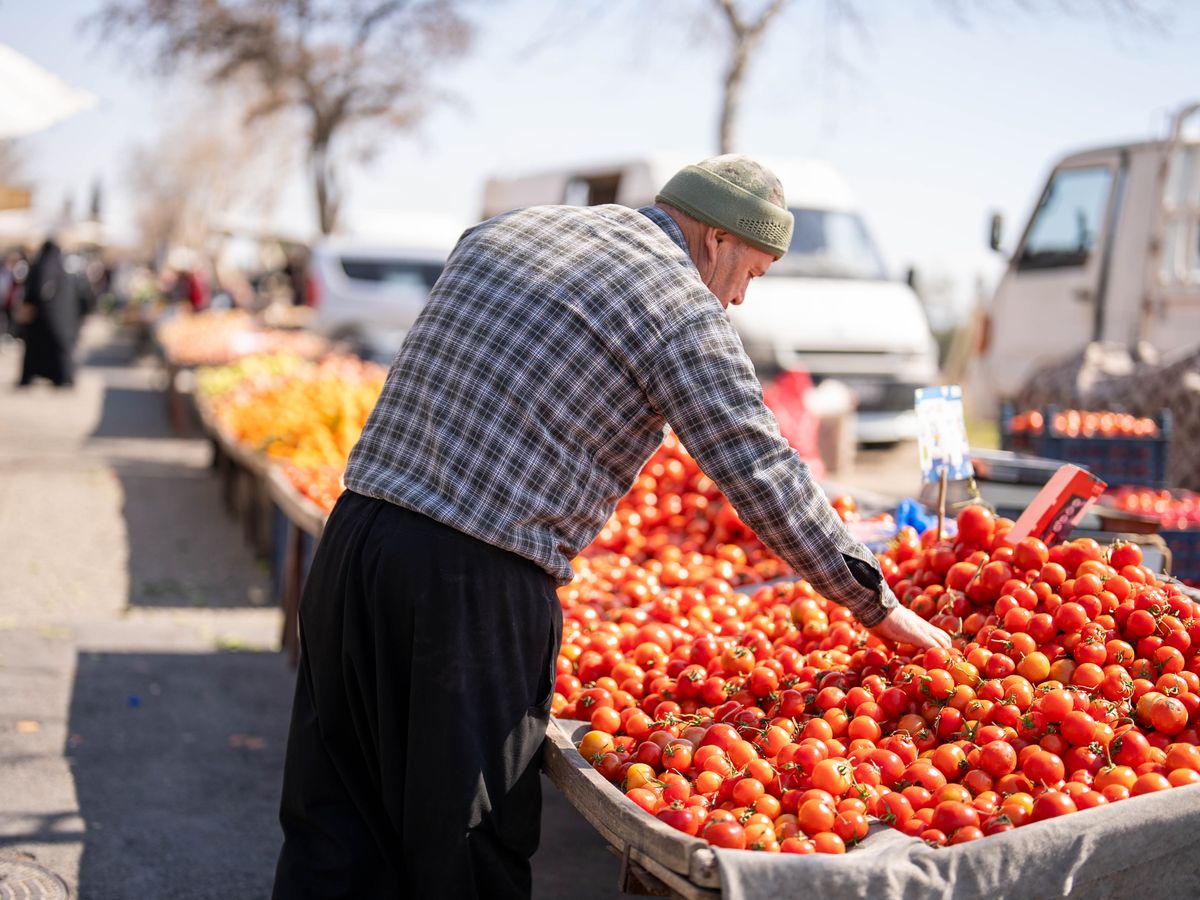 Elderly man choosing ripe tomatoes at a bustling street market in Kahramanmaraş, Turkey.