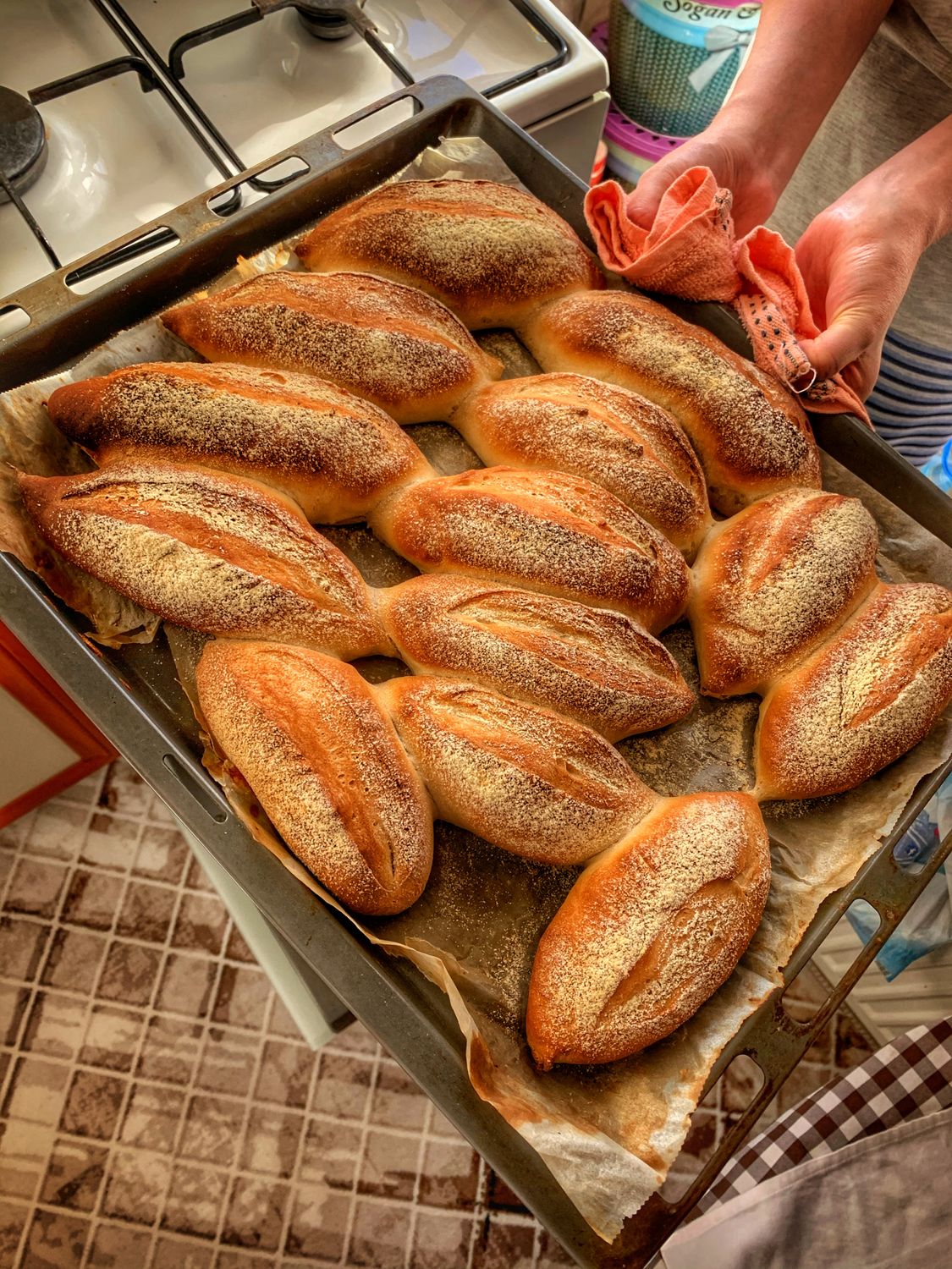 Golden crusted bread rolls fresh out of the oven, held in hands.