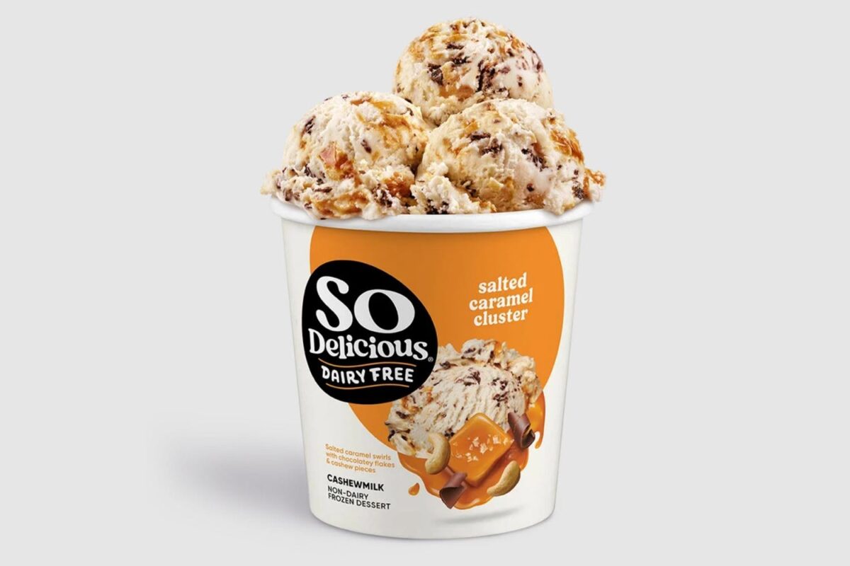 so delicious dairy free