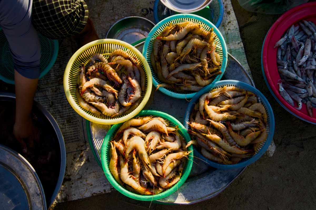 Top view of shrimp baskets at an outdoor market showcasing fresh seafood catch.