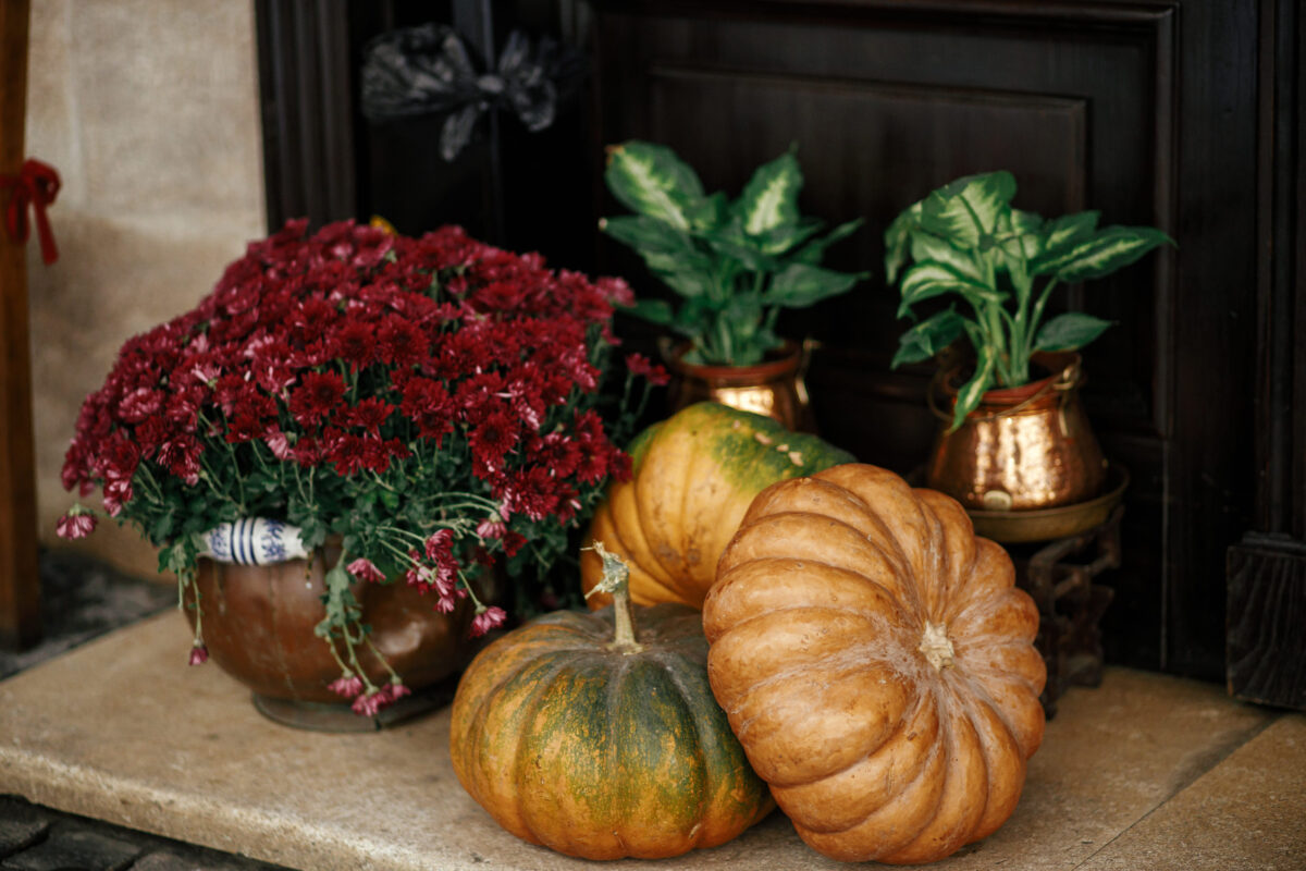 10 Things Families Used to Do With Their Pumpkins After Halloween 2 Pumpkins, autumn flowers and plants on sidewalk in city street, festive holiday decor of storefronts and buildings. Halloween decoration outdoor. Happy halloween. Autumn market in town