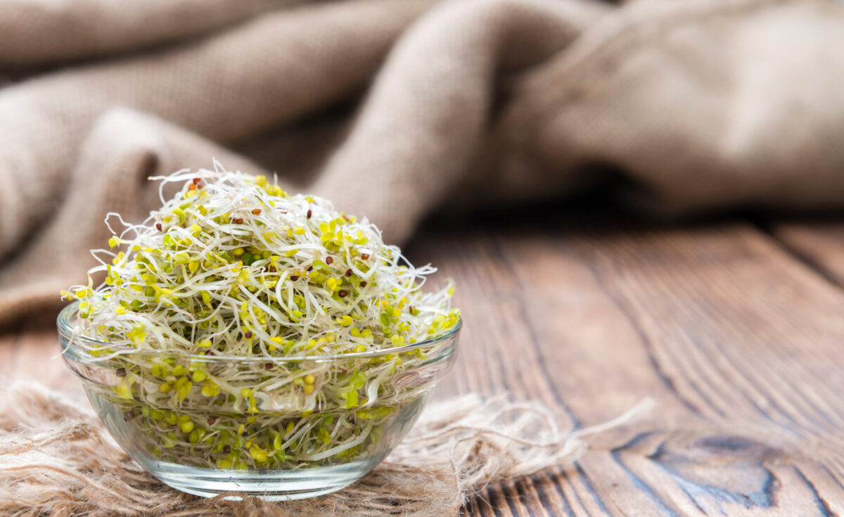 Portion of fresh Broccoli Sprouts