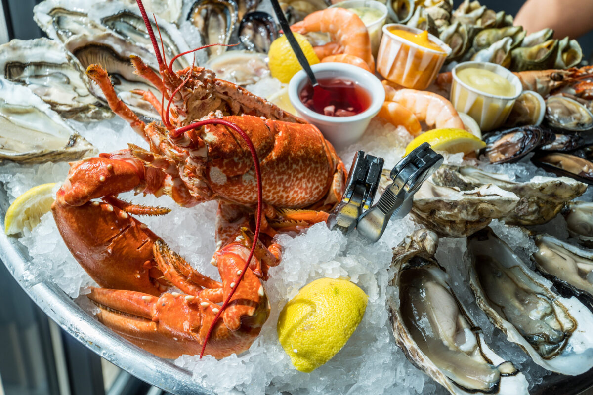 Seafood plate. Different molluscs and crustaceans on ice.