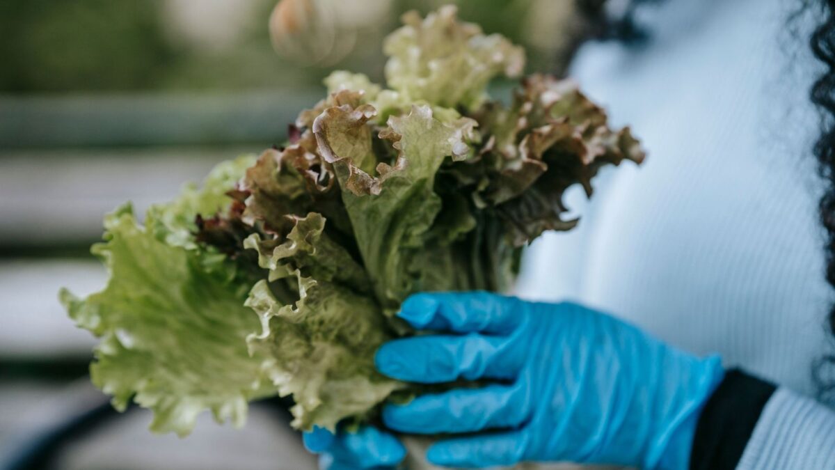 6 Popular Foods That Don't Freeze as Well as You Might Expect