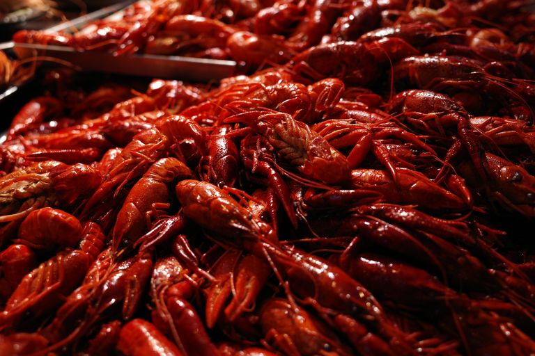 The Seafood Chain That’s Actually Good, Despite All the Hate