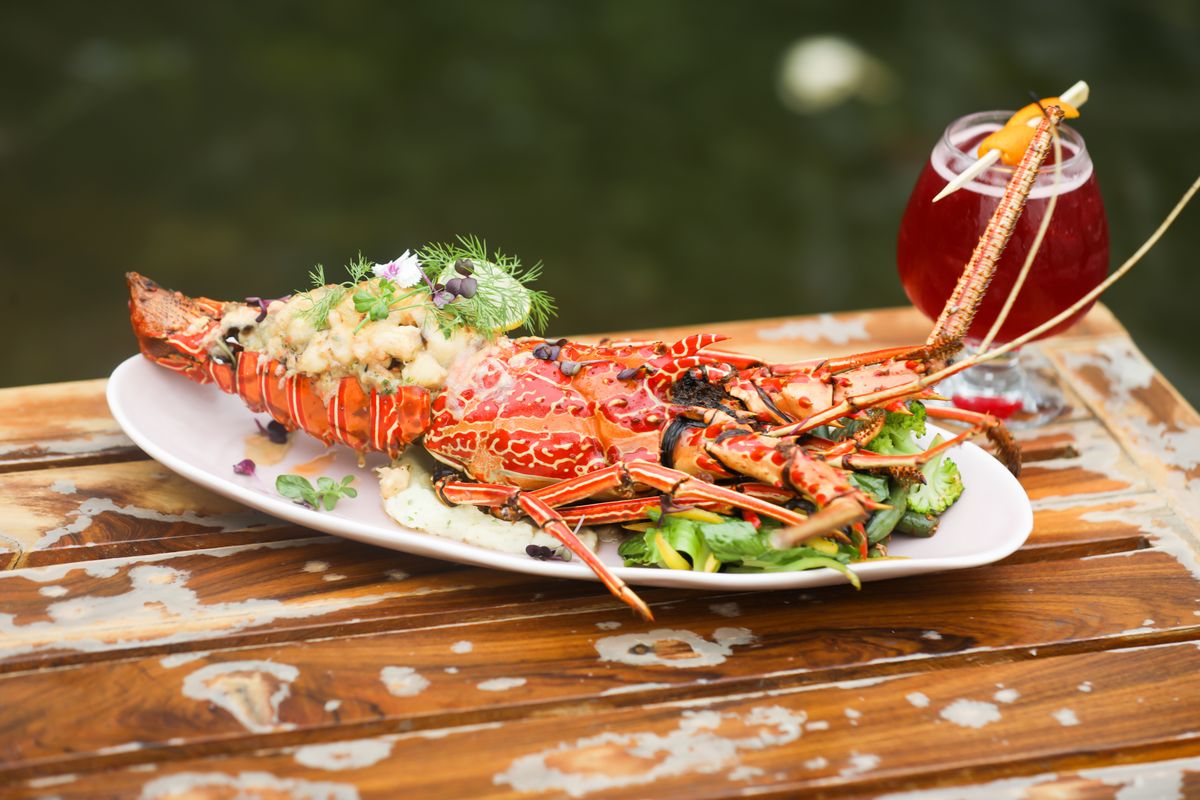 A gourmet lobster dish served with a refreshing cocktail, perfect for fine dining experiences in Bengaluru, India.