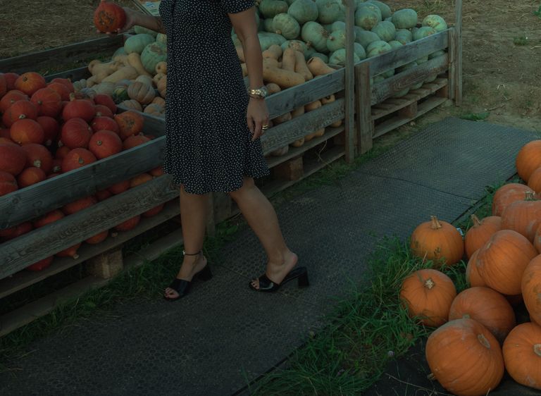 7 Local Market Finds That Can Transform Your Fall Cooking