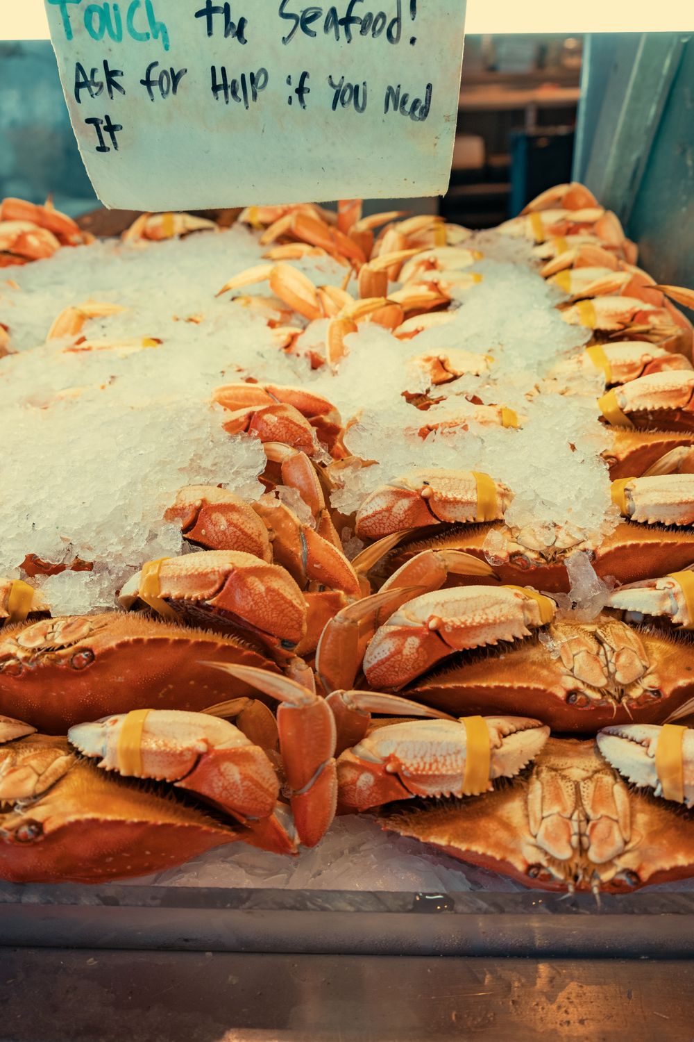Close-up of fresh crabs on ice with sign at seafood market for sale.