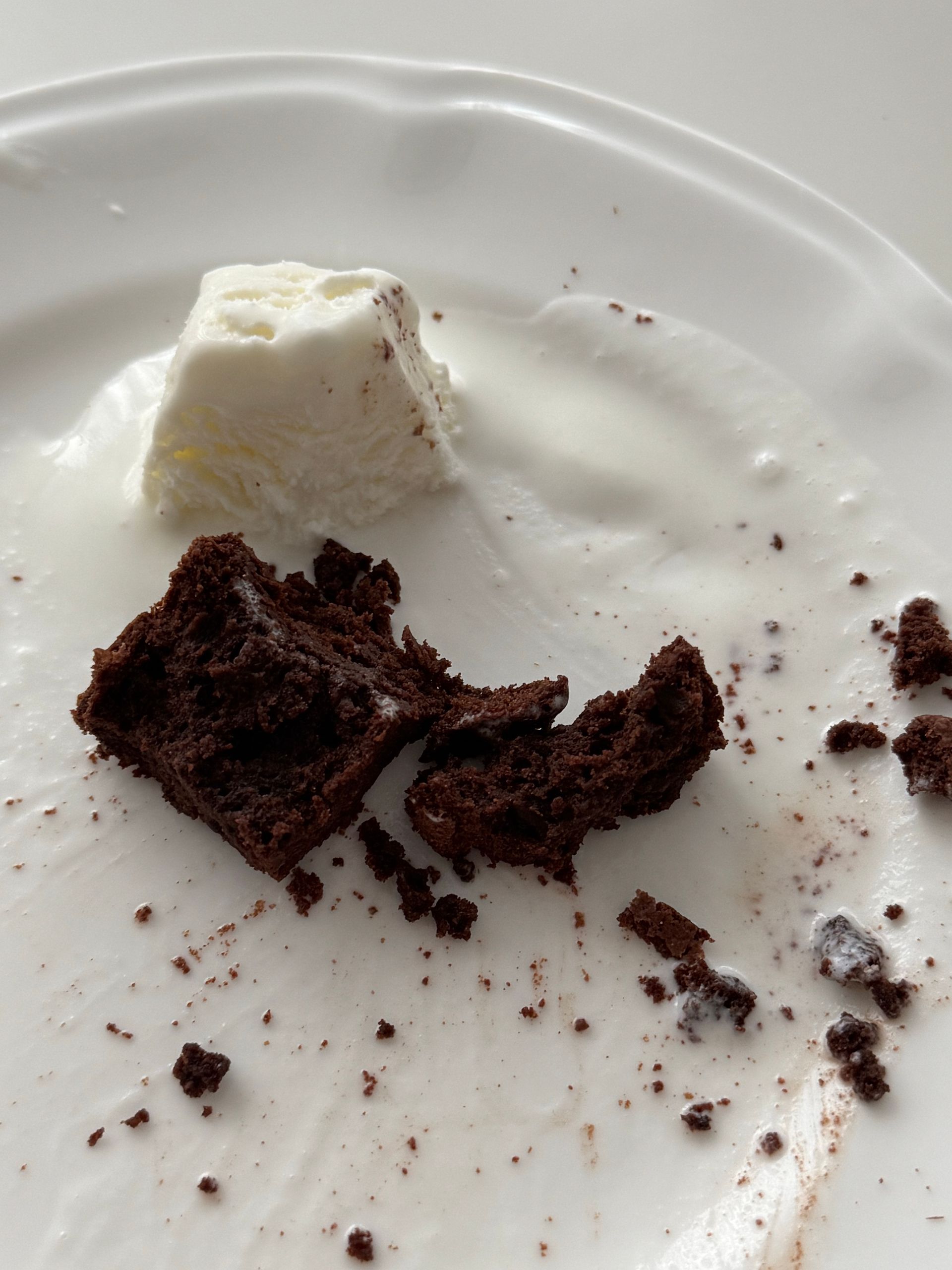 Close-up of melted vanilla ice cream with chocolate brownie crumbles on a plate.