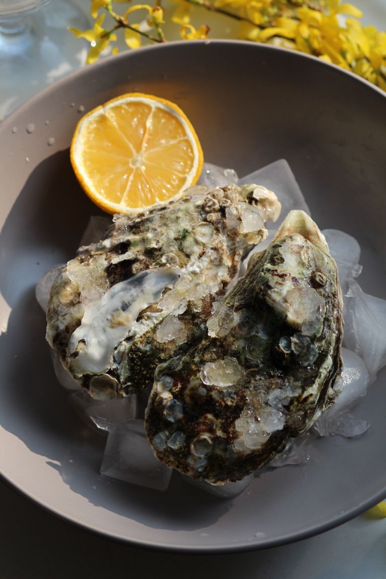 Kansas City Is Getting a Dedicated Oyster Bar as Its Dining Scene Continues to Expand