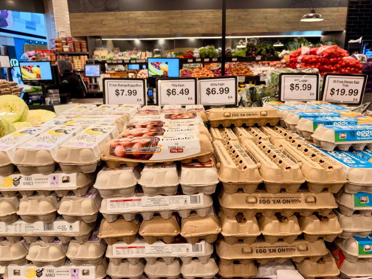 com/photo/egg-display-in-australian-grocery-store-39648248/