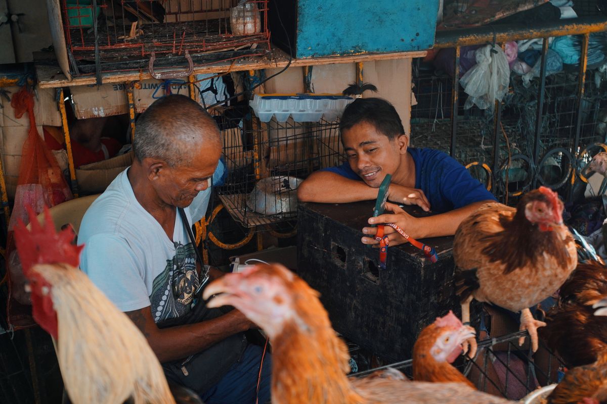 Popeyes vs. KFC vs. Chick-fil-A: The Cheapest Chicken Order Starts at $3.49 but There’s a Catch 2 Two men tend to chickens in a bustling market setting, showcasing traditional poultry trade.